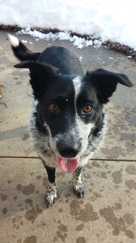 10616149_10203414116263180_8581121586124358556_n