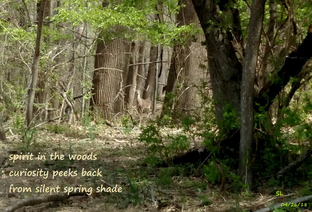 IMG_20180421_113034372