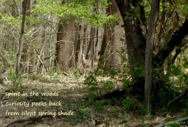 IMG_20180421_113034372